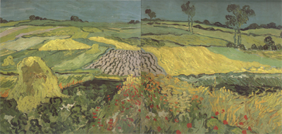 Wheat Fields near Auvers (nn04)